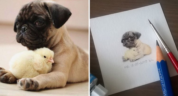 tiny-spring-illustrations-kasia-haldas-pug-chick