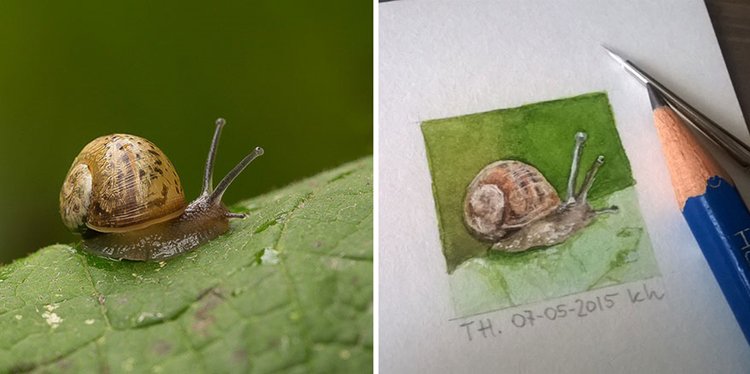 tiny-spring-illustrations-kasia-haldas-snail