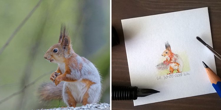 tiny-spring-illustrations-kasia-haldas-squirrel