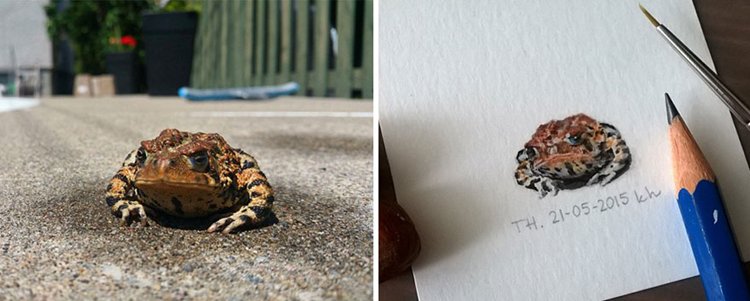 tiny-spring-illustrations-kasia-haldas-toad