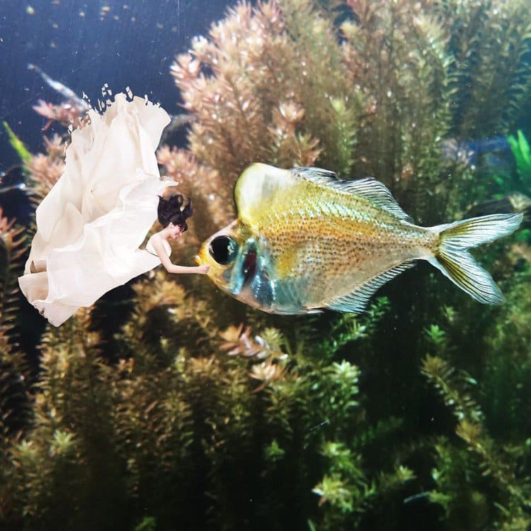 tiny woman underwater fish