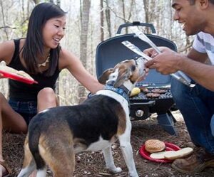 travel grill camping