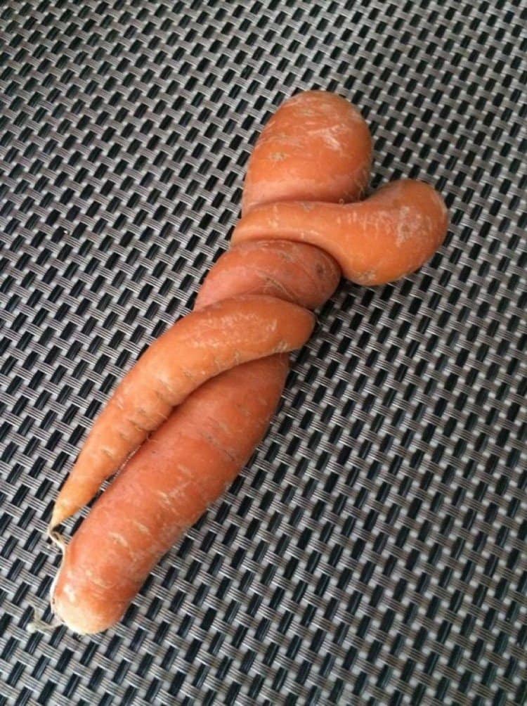twisted carrots