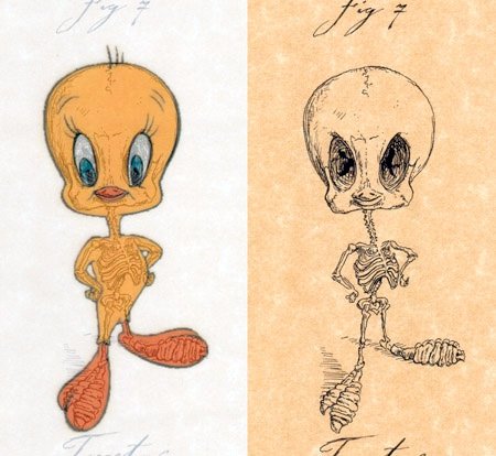 x-ray-tweety