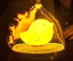 Birdcage LED Night Light