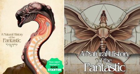Christopher Stoll Anatomy Of Fantasy Creatures