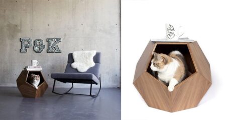 Geometric Pet Cave Side Table