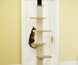 Multi-Level Cat Climber
