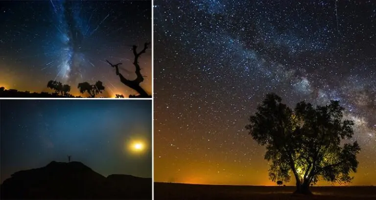 Pictures Of Starry Skies