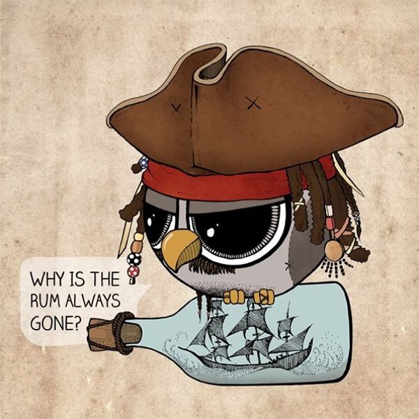 Sowulka-little-rounded-owl-jack-sparrow