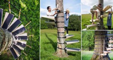 These Spiral Staircases Can Be Strapped On To Any Tree With Ease