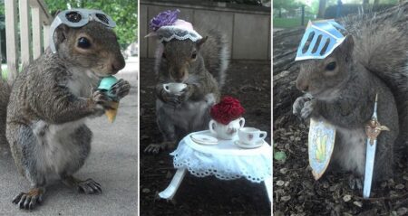 University Student Plays Dress Up With Squirrels