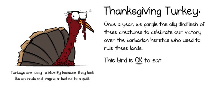 america-explained-special-birds-a-turkey