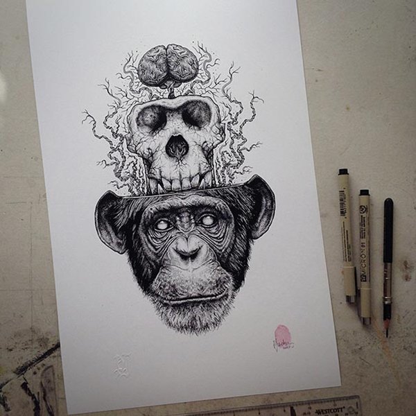 animal-skull-drawings-paul-jackson-chimp