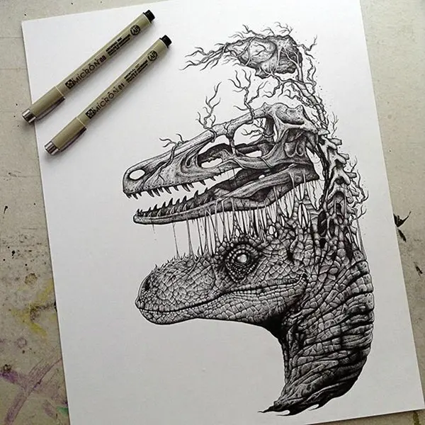 animal-skull-drawings-paul-jackson-dino