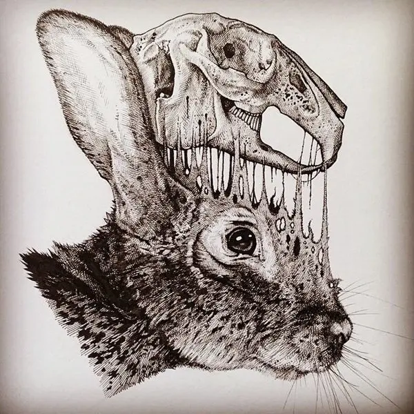 animal-skull-drawings-paul-jackson-rabbit