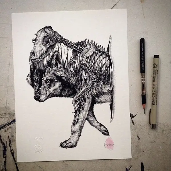 animal-skull-drawings-paul-jackson-wolf