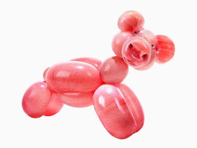 balloon-zoo-by-sarah-deremer-pig