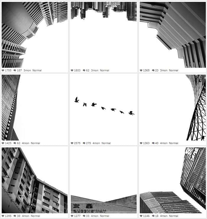 birds buildings collage