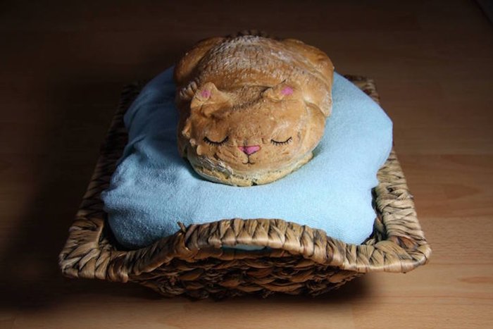 catloaf-top