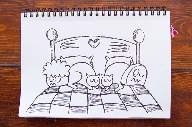 cats annoying couple bed