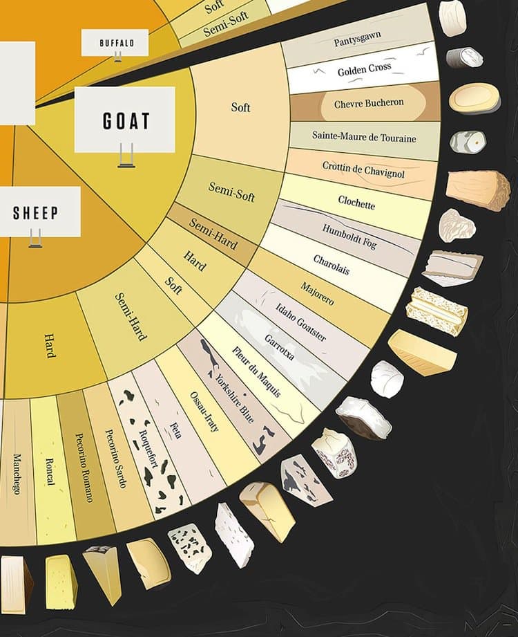 Charted Cheese Wheel