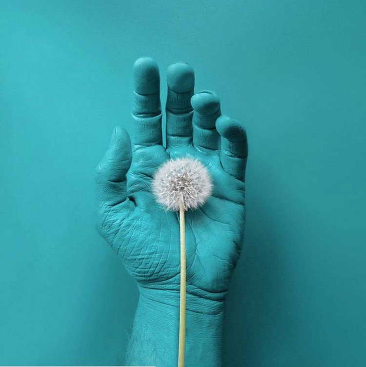 dandelion clock blue hand