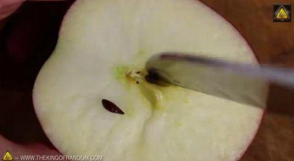 deseed apple