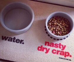 funny pet food mat