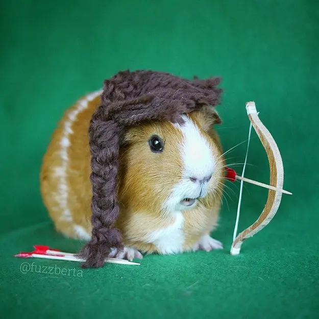 fuzzberta-cosplaying-guinea-pig-katniss