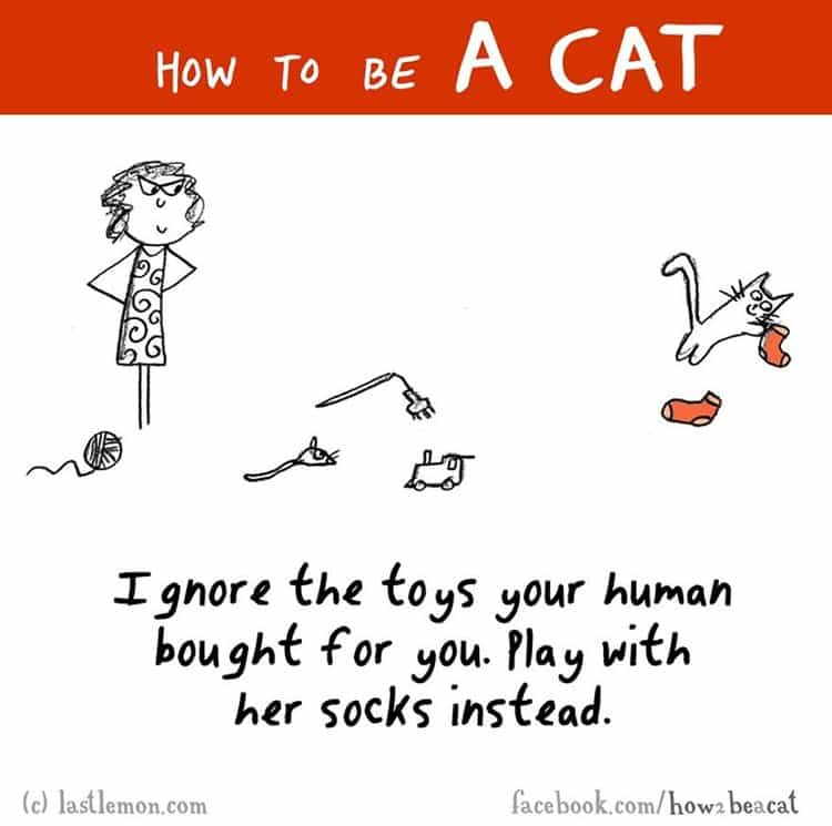 how-to-be-a-cat-toys