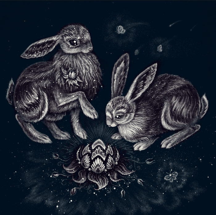 julia-vystokoyava-rabbits