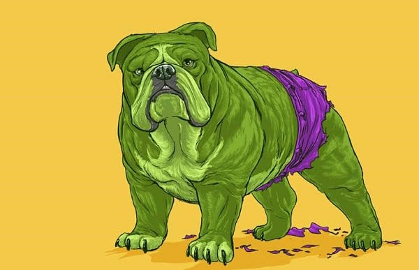 marvel-dogs-bulldog-hulk