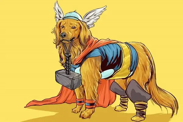 marvel-dogs-thor