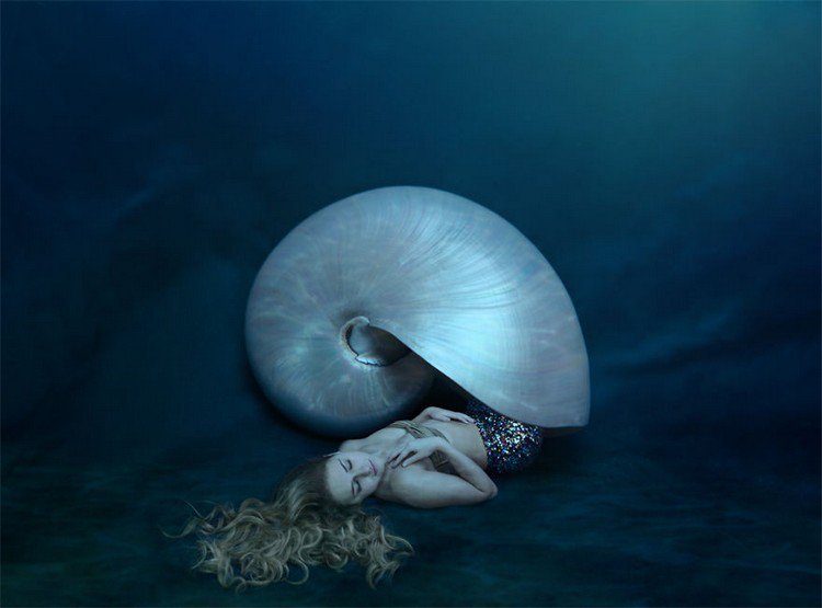 mermaid shell