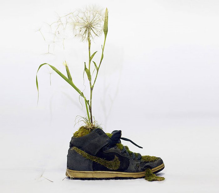monsieur-plant-sneakers-dandelion