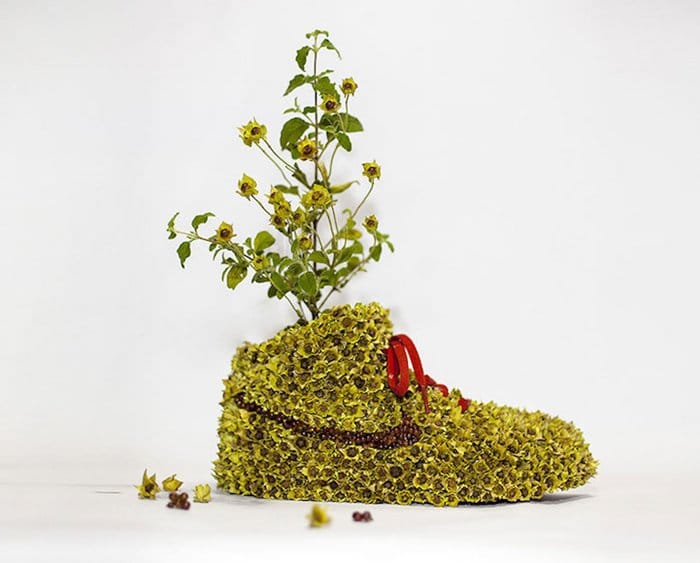 monsieur-plant-sneakers-yellow-next