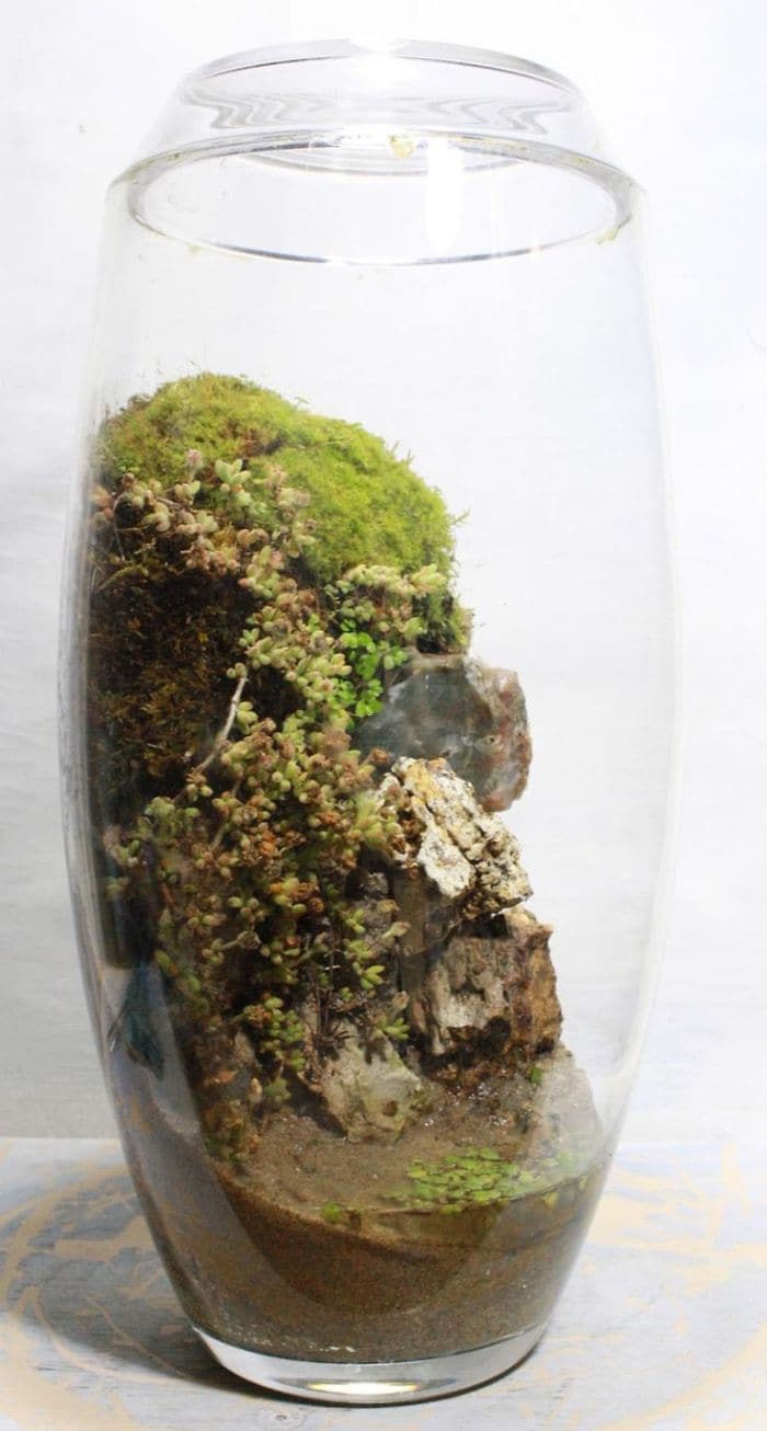 moss stone glass