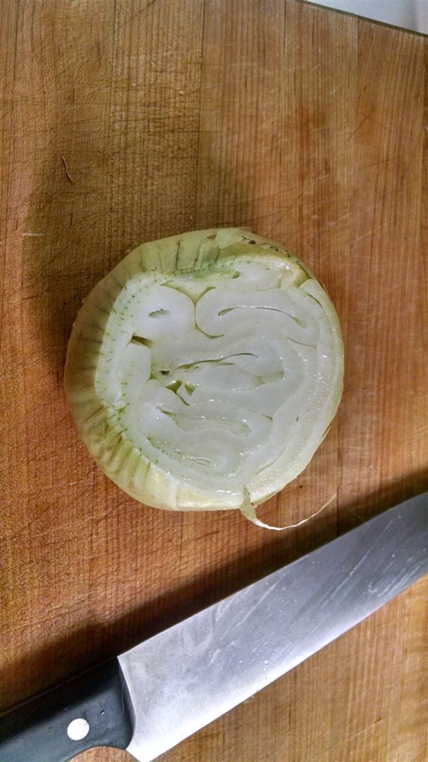 onion