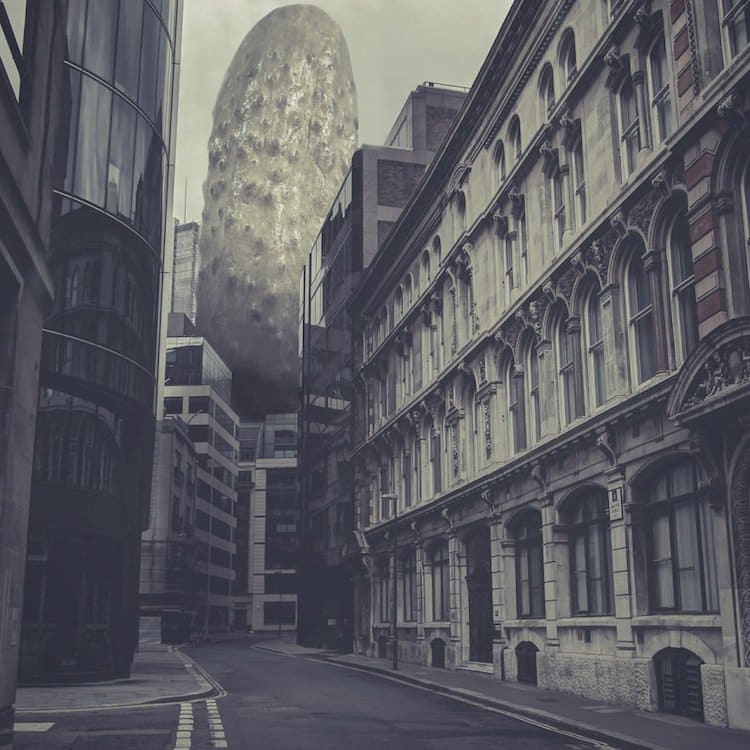 photo-gherkin