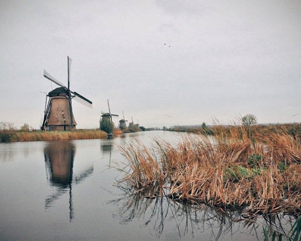 roos-windmill