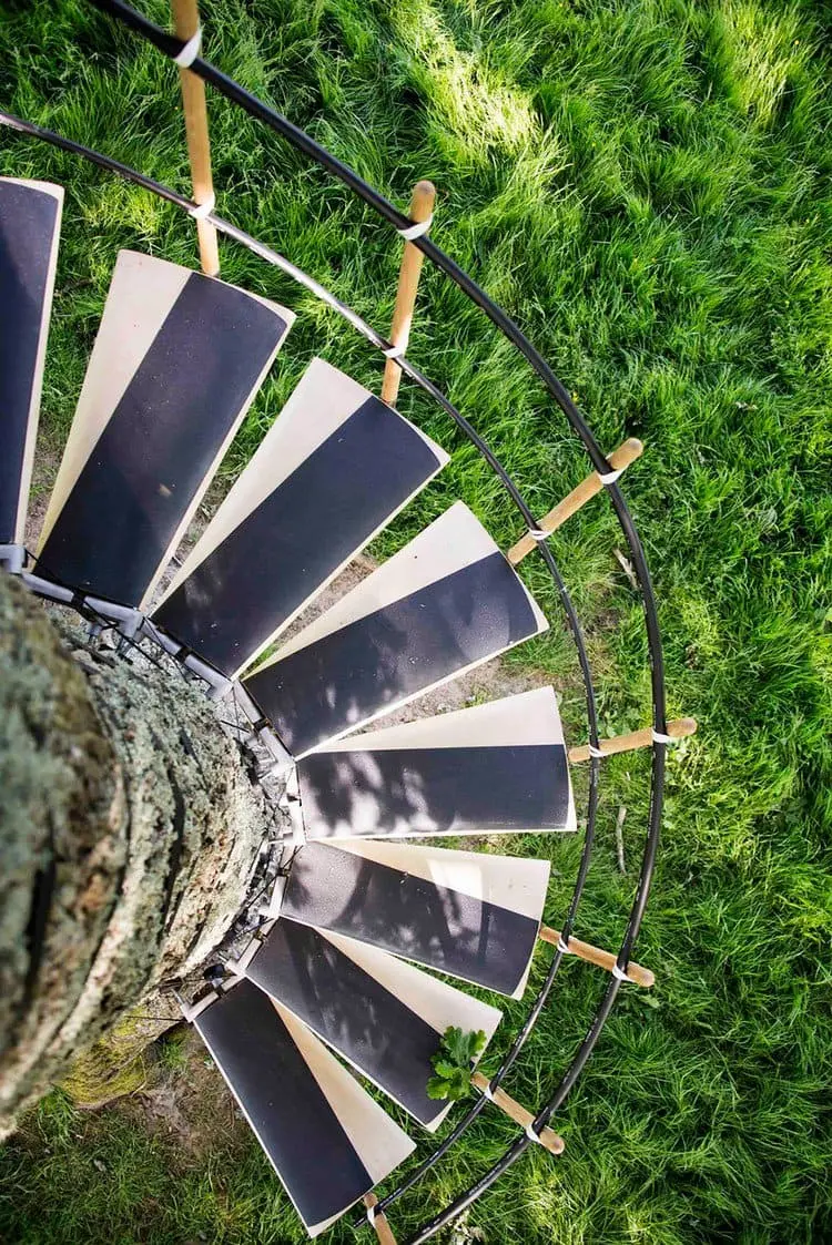 spiral staircase stairs above