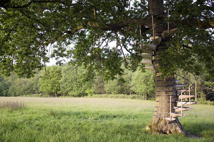 spiral staircase tree