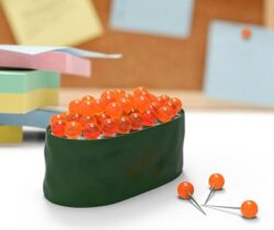 sushi push pins