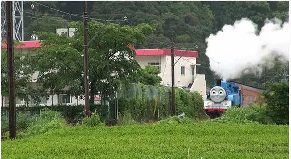 thomas smoke greenery