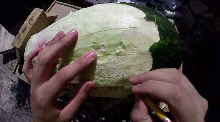 watermelon-skinned