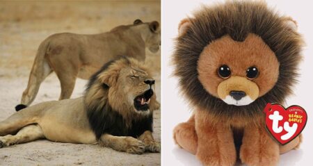 Cecil The Lion Beanie Baby