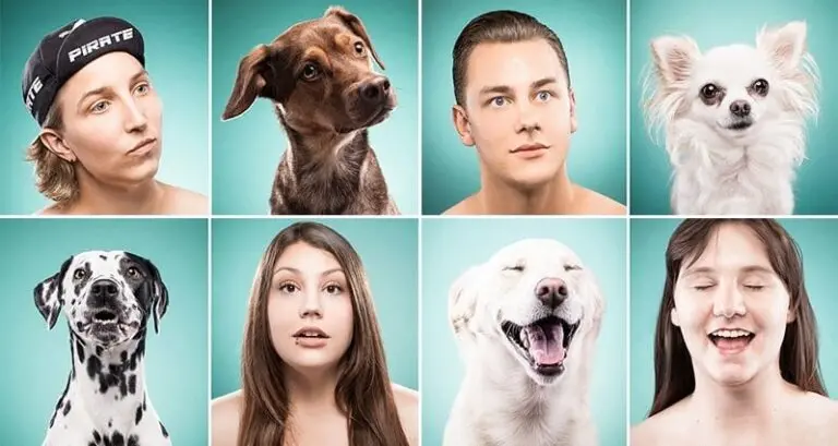 Dog Owners Looking Like Their Dogs
