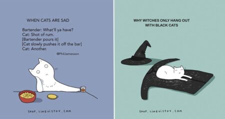 Illustrated Truths About Cats