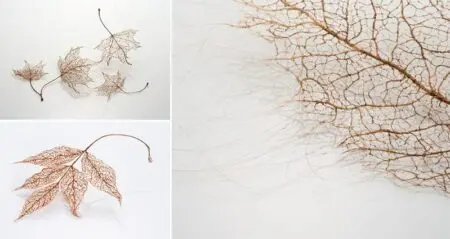 Jenine Shereos Human Hair Leaf-Sculptures